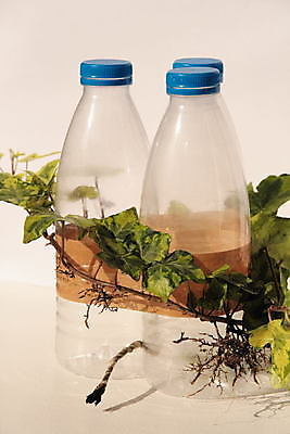 포토 JPG 해외이미지 포장 자연 불 폭죽 사람없음 환경 재활용 행성 다양 긴급 폐기물 위험 플라스틱 폭발물 코르크 아이비 낭비 다이너마이트 분류 생태학 화상 해외202004 해외포토 자연요소 식물 교육 무기 다수 컨셉 재질 우주 상처 쓰레기 폭탄 친환경 생태계 파일형식 이미지허브