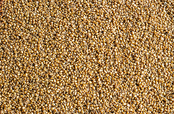 포토 JPG 해외이미지 음식 백그라운드 다이어트 채소 재료 건강 요리 씨앗 사람없음 일본 식사 흰색 사발 낟알 시리얼 밀 먹기 유기농 질감 보리 내추럴 점심식사 삶기 섞기 채식주의자 해외202004 해외포토 식물 웰빙 아시아 컬러 모션 곡류 사기그릇 채식 파일형식 이미지허브