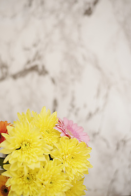 포토 JPG 해외이미지 식물 디자인 계절 꽃잎 꽃 꽃다발 백그라운드 꽃무늬 자연 주택 국화 선물 사람없음 장식 초록색 여름 빛 컬러풀 노란색 꽃병 침묵 봄 활발 벚꽃 가을 흰색 신선 주식 다발 데이지 대리석 내추럴 블로거 스타일 방식 해외202004 해외포토 컬러 컨셉 무늬 재료 건물 금융 소리 생태계 파일형식 이미지허브