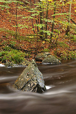 포토 JPG 해외이미지 나무 잎 자연 풍경 사람없음 강 폭포 가을 바위 시골 개울 급류 떨어짐 숲 벨기에 해외202004 해외포토 식물 계절 컨셉 돌_바위 생태계 서유럽 파일형식 이미지허브