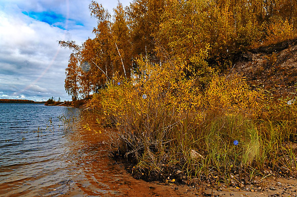 포토 JPG 해외이미지 나무 식물 구름 계절 공원 유럽 도로 호수 백그라운드 잎 자연 휴가 따뜻함 풍경 사람없음 빨간색 초록색 빛 강 컬러풀 햇빛 태양 환경 맑음 버섯 광선 가을 오픈 황금 숲 오솔길 자작나무 가문비나무 해외202004 해외포토 자연요소 공공시설 나라 길 컬러 교통시설 날씨 생태계 파일형식 이미지허브