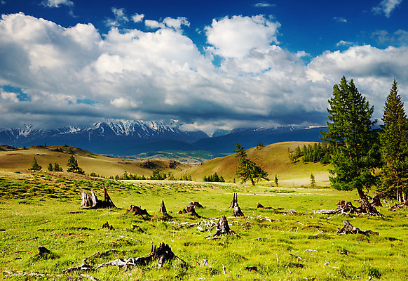 포토 JPG 해외이미지 나무 구름 밭 자연 하늘 산 파노라마 풍경 사람없음 초록색 여름 파란색 햇빛 환경 맑음 숲 언덕 산악지대 시베리아 해외202004 해외포토 자연요소 식물 계절 컬러 농업 날씨 촬영기법 태양 생태계 파일형식 이미지허브