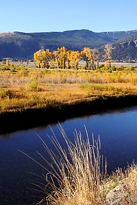 포토 JPG 해외이미지 나무 공원 여행 자연 아침 산 풍경 사람없음 야외 초록색 물 여름 파란색 강 노란색 평화 환경 계곡 미국 흐름 가을 개울 황무지 숲 장면 내추럴 와이오밍 전국 지질학 해외202004 해외포토 주간 자연요소 식물 계절 공공시설 교육 컬러 컨셉 북아메리카 생태계 파일형식 이미지허브