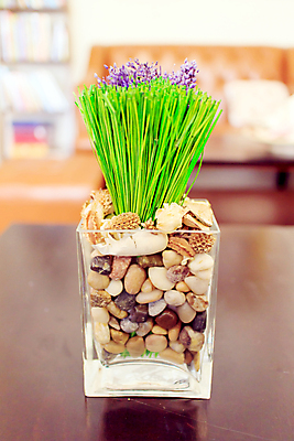 포토 JPG 해외이미지 식물 계절 꽃 음식 분홍색 꽃다발 백그라운드 잎 꽃무늬 패턴 밭 오렌지 과일 자연 유리 탁자 추상 프레임 선물 사람없음 목재 장식 빨간색 초록색 여름 컬러풀 노란색 정원 꽃병 어둠 봄 활발 수확 벚꽃 가을 흰색 생일 개화 그룹 사과 다발 배열 내추럴 고립 해외202004 해외포토 나무 기념일 컬러 가구 컨셉 무늬 농업 재료 재질 생태계 파일형식 이미지허브