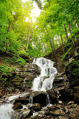 포토 JPG 해외이미지 나무 공원 여행 백그라운드 잎 모션 자연 벽지 산 이끼 풍경 사람없음 야외 목재 초록색 물 강 평화 환경 봄 폭포 하이킹 젖음 촉촉함 흐름 바위 신선 개울 연기 떨어짐 숲 시원함 부드러움 내추럴 생태학 그리너리 해외202004 해외포토 자연요소 식물 계절 공공시설 교육 컬러 컨셉 재료 레저 돌_바위 감각 생태계 파일형식 트랜드컬러 이미지허브