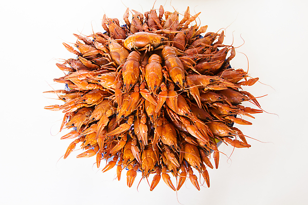 포토 JPG 해외이미지 동물 전통 접시 음식 백그라운드 어류 사람없음 빨간색 식사 맛 가재 질감 암 러시아인 삶기 해외202004 해외포토 서양인 식기 컬러 컨셉 갑각류 수중동물 질병 파일형식 이미지허브