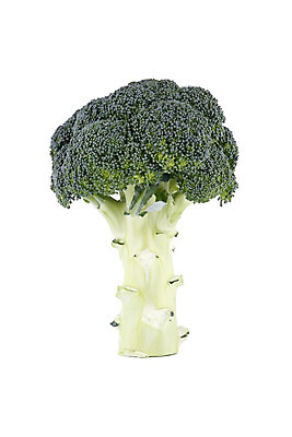 포토 JPG 해외이미지 음식 줄기 잎 다이어트 채소 건강 요리 사람없음 초록색 컬러풀 요식업 저녁식사 흰색 신선 최고 고명 몸무게 브로콜리 날씬함 유기농 날것 칼로리 섬유 성분 내추럴 점심식사 고립 식욕 적자 해외202004 해외포토 식물 웰빙 산업 컬러 식사 직물 몸매 파일형식 이미지허브