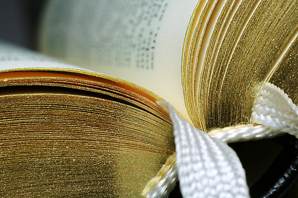 포토 JPG 해외이미지 교육 기독교 종교 종이 십자가 노래 사람없음 책 빛 햇빛 교회 믿음 성경 기도 오픈 예수 가장자리 닫기 인쇄 가죽 읽기 문서 증거 신성 복음 북마크 숭배 신앙심 충실 파멸 합창단 해외202004 해외포토 감정 음악 컨셉 종교용품 종교건축 모션 건물 태양 신_종교 그룹 둘레 합창 파일형식 소멸 이미지허브