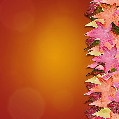 포토 JPG 해외이미지 계절 백그라운드 잎 오렌지 프레임 경사 사람없음 빨간색 컬러풀 갈색 노란색 우주 사진촬영 활발 가을 황금 다발 그림 보케 많음 카피스페이스 해외202004 해외포토 식물 컬러 컨셉 과일 촬영 공백 파일형식 이미지허브