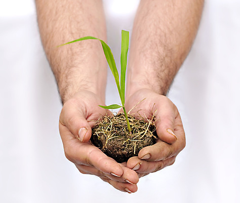 포토 JPG 해외이미지 식물 1 손 지구 음식 컨셉 잎 농업 손가락 자연 새로움 아이디어 창조 씨앗 사람 사람없음 초록색 새싹 환경 흙 성장 잡기 보호 작음 가난 시작 원예 먼지 내추럴 고립 골 돌봄 모종 생태학 헬프 해외202004 해외포토 교육 산업 컬러 모션 취미 신체부위 도움 크기 생태계 파일형식 이미지허브