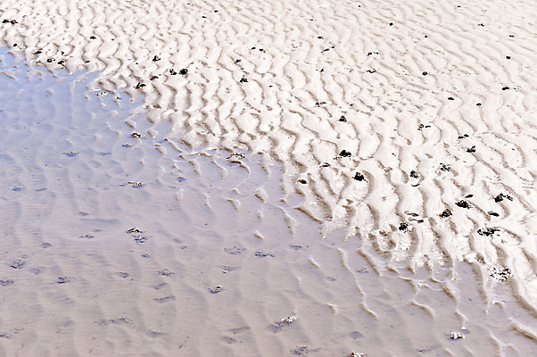 포토 JPG 해외이미지 응시 물결 모래 바다 자연 조류 하늘 바람 휴가 독일 사람없음 야외 물 여름 모래사장 홍수 잔물결 수평선 해외202004 해외포토 자연요소 동물 시선 계절 유럽 날씨 자연재해 생태계 파일형식 이미지허브