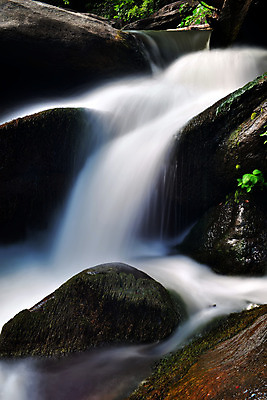 포토 JPG 해외이미지 자연 추상 사람없음 치료 초록색 파란색 강 흐름 개울 닫기 숲 장노출 암초 느림 특별함 해외202004 해외포토 컬러 컨셉 무늬 의학 모션 촬영기법 생태계 파일형식 이미지허브
