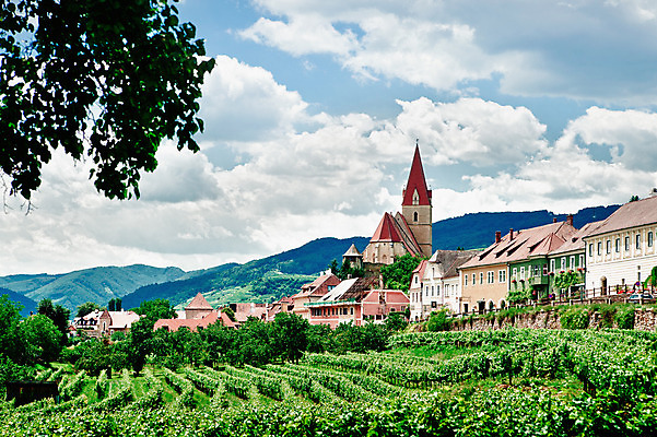 포토 JPG 해외이미지 식물 외관 유럽 여행 농업 건축양식 자연 하늘 주택 풍경 사람없음 건물 여름 교회 탑 와인 오스트리아 재산 언덕 포도밭 포도나무 타운 밭일 줄서기 해외202004 해외포토 건축물 계절 건축 나라 산업 밭 종교건축 모션 주류 금융 도시 과일나무 생태계 파일형식 이미지허브