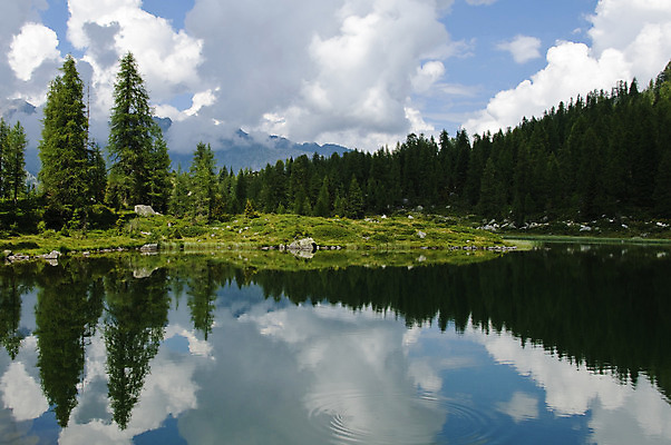 포토 JPG 해외이미지 나무 구름 호수 자연 하늘 산 풍경 사람없음 야외 목재 초록색 물 여름 파란색 반사 평화 환경 연못 소나무 황무지 숲 알프스 암초 내추럴 무료 해외202004 해외포토 자연요소 식물 계절 유럽 컬러 컨셉 재료 생태계 파일형식 이미지허브