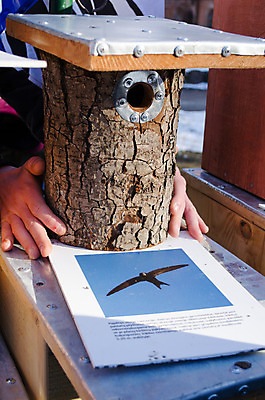 포토 JPG 해외이미지 나무 손 계절 공원 야생동물 자연 조류 지붕 주택 종류 사람없음 목재 장식 상자 금속 정원 봄 시골 잡기 구멍 시장 둥지 보호 숲 작음 목공예 나무껍질 새장 공평 내추럴 철강 특별함 핸드메이드 해외202004 해외포토 식물 동물 공공시설 컨셉 재료 모션 재질 건물 신체부위 껍질 크기 공예 생태계 케이지 파일형식 이미지허브