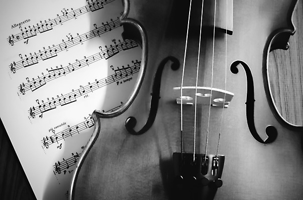포토 JPG 해외이미지 악기 음악 현악기 흑백 사람없음 바이올린 악보 오브젝트 해외202004 해외포토 문화예술 촬영기법 파일형식 이미지허브