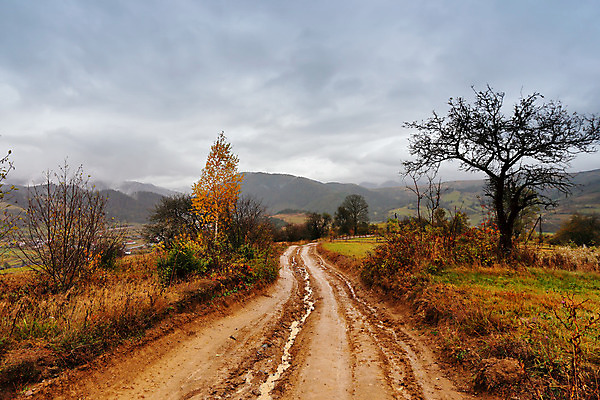 포토 JPG 해외이미지 구름 도로 길 여행 백그라운드 밭 농업 자국 자연 하늘 날씨 산 주택 파노라마 풍경 사람없음 야외 빨간색 울타리 노란색 마을 계곡 회색 안개 가을 시골 언덕 먼지 폭풍 진흙 흐림 10월 나쁜 땅바닥 방법 비포장도로 해외202004 해외포토 자연요소 계절 산업 컬러 교통시설 바닥 촬영기법 건물 담장 날짜 생태계 파일형식 이미지허브