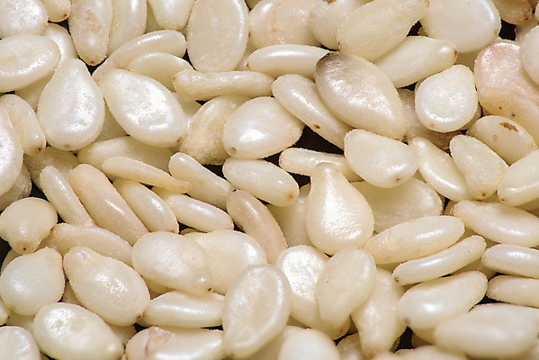 포토 JPG 해외이미지 전통 음식 농업 재료 자연 건강 식이요법 요리 씨앗 사람없음 농작물 약 견과류 조미료 낟알 인도인 향신료 유기농 날것 깨 섬유 내추럴 꼬투리 단백질 영양소 채식주의자 해외202004 해외포토 외국인 식물 웰빙 산업 식재료 의학 동양인 직물 생태계 채식 향미료 파일형식 이미지허브