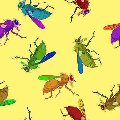 포토 JPG 해외이미지 동물 야생동물 곤충 패턴 날개 일러스트 자연 추상 안테나 미술 사람없음 검은색 흰색 닫기 해충 벌레 지저분함 작음 묘사 질감 생물학 내추럴 고립 엘리먼트 해외202004 해외일러스트 교육 컬러 무늬 통신 모션 문화예술 감각 크기 생태계 파일형식 이미지허브