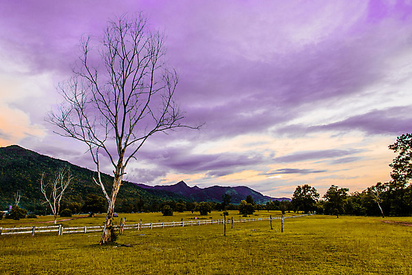 포토 JPG 해외이미지 나무 식물 공원 백그라운드 밭 농업 자연 하늘 건조 풍경 사람없음 야외 목재 초록색 여름 파란색 태양 농장 환경 맑음 흰색 시골 죽음 제비꽃 장면 내추럴 고립 옛날 초능력 해외202004 해외포토 자연요소 계절 공공시설 꽃 산업 컬러 재료 날씨 생태계 파일형식 이미지허브