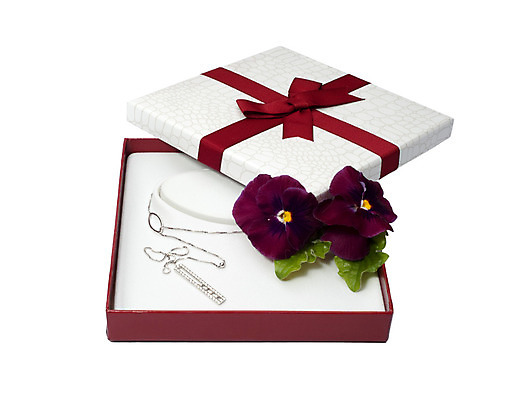 포토 JPG 해외이미지 리본 선물 사람없음 장식 빨간색 상자 흰색 활 해외202004 해외포토 컬러 파일형식 이미지허브