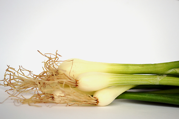 포토 JPG 해외이미지 채소 양파 사람없음 초록색 샐러드 흰색 신선 조직 호흡 굽기 허브 성분 리빙 고립 채식주의자 해외202004 해외포토 식물 음식 컬러 구이 채식 파일형식 이미지허브