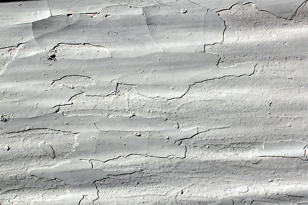 포토 JPG 해외이미지 외관 벽 조각 백그라운드 패턴 표면 날씨 추상 거리 주택 프레임 사람없음 건물 페인트 수확 골동품 덮개 껍질 흰색 시골 도시 얼룩 거친 균열 버리기 묘사 고민 부식 질감 복고 시멘트 먼지 나쁜 그런지 깨짐 방법 옛날 콘크리트 효과 해외202004 해외포토 건축물 감정 컬러 컨셉 무늬 농업 모션 뚜껑 파일형식 이미지허브