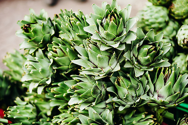 포토 JPG 해외이미지 식물 라이프스타일 꽃 음식 백그라운드 잎 농업 다이어트 채소 과일 재료 자연 프레임 건강 요리 사람없음 목재 초록색 농장 정원 봄 샐러드 시골 신선 신용카드 그룹 시장 먹기 유기농 날것 엉겅퀴 내추럴 아티초크 해외202004 해외포토 나무 웰빙 계절 산업 컬러 모션 생활 금융 생태계 파일형식 이미지허브