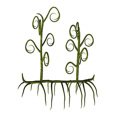 포토 JPG 해외이미지 나무 식물 1 줄기 잎 일러스트 자연 사람없음 초록색 3D 싱글 흰배경 선사시대 고립 기간 혼자 해외202004 해외포토 컬러 백그라운드 흰색 역사 디지털합성 생태계 파일형식 이미지허브