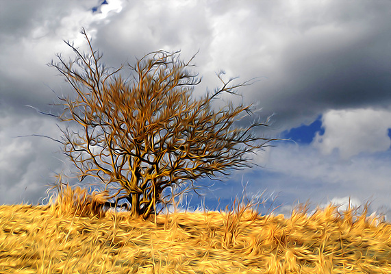 포토 JPG 해외이미지 나무 식물 디자인 꽃 실루엣 선 백그라운드 잎 꽃무늬 패턴 곡선 오렌지 일러스트 자연 추상 미술 사람없음 목재 장식 초록색 여름 컴퓨터 갈색 환경 정원 검은색 페인트 봄 성장 소용돌이 가을 흰색 나뭇가지 보호 심볼 그림 클립 해외202004 해외포토 계절 컬러 컨셉 무늬 과일 재료 문화예술 촬영기법 전자제품 회오리 생태계 파일형식 이미지허브
