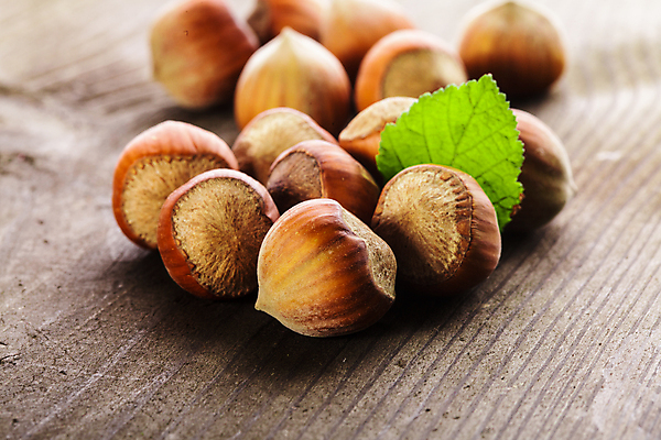 포토 JPG 해외이미지 실내 사람없음 아웃포커스 견과류 헤이즐넛 나무배경 해외202004 해외포토 백그라운드 촬영기법 내부 파일형식 이미지허브