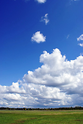 포토 JPG 해외이미지 나무 구름 밭 자연 하늘 풍경 잔디 사람없음 야외 세로 초록색 여름 파란색 태양 환경 맑음 침묵 봄 활발 꿈 자유 시골 신선 숲 땅 장면 지역 천국 내추럴 수평선 해외202004 해외포토 자연요소 식물 계절 컬러 컨셉 농업 날씨 소리 생태계 파일형식 이미지허브