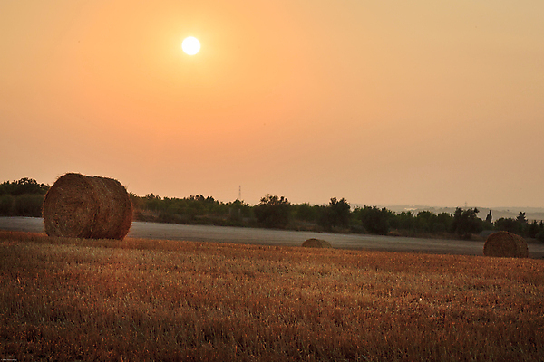 포토 JPG 해외이미지 식물 계절 밭 농업 자연 하늘 풍경 사람없음 여름 농작물 태양 농장 농경지 노란색 쌓기 평화 일몰 이탈리아 수확 가을 시골 황금 건초더미 볏짚 낟알 땅 밀 밀짚 밭일 해외202004 해외포토 자연요소 유럽 산업 컬러 컨셉 모션 곡류 노을 건초 짚 생태계 파일형식 더미 이미지허브