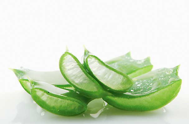 포토 JPG 해외이미지 식물 줄기 백그라운드 잎 근접촬영 사람없음 초록색 뷰티 젖음 신선 슬라이스 알로에 알로에베라 해외202004 해외포토 뷰포인트 컬러 파일형식 이미지허브