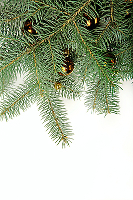 포토 JPG 해외이미지 나무 전통 계절 백그라운드 크리스마스 겨울 공 휴가 새로움 새해 기념 매달리기 사람없음 장식 초록색 노란색 파티 축제 흰색 나뭇가지 축하 12월 자르기 연도 오브젝트 전나무 노엘 여의주 해외202004 해외포토 식물 기념일 컬러 컨셉 모션 이벤트 날짜 파일형식 이미지허브