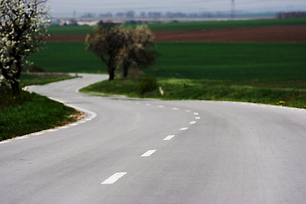 포토 JPG 해외이미지 도로 여행 밭 교통시설 모션 자동차 자연 하늘 바람 날씨 산 항해 풍경 사람없음 야외 초록색 컬러풀 운전 시골 고속도로 아스팔트 땅 언덕 속도 장면 짐차 루트 자동 직진 파라다이스 수평선 해외202004 해외포토 자연요소 길 육상교통 컬러 교통 농업 배_교통 시설 생태계 파일형식 이미지허브