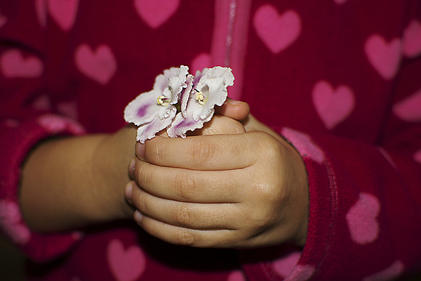 포토 JPG 해외이미지 꽃 어린이 손가락 관리 선물 사람없음 빨간색 하트 유지 결백 해외202004 해외포토 모양 식물 손 컬러 사람 파일형식 이미지허브