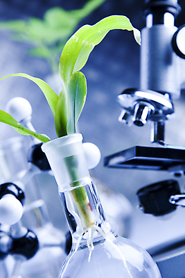 포토 JPG 해외이미지 식물 실내 현미경 실험 근접촬영 사람없음 아웃포커스 화학 실험실 파란배경 화학실험 분자구조모형 해외202004 해외포토 뷰포인트 과학 백그라운드 촬영기법 실험기구 내부 파란색 모형 분자구조 파일형식 이미지허브