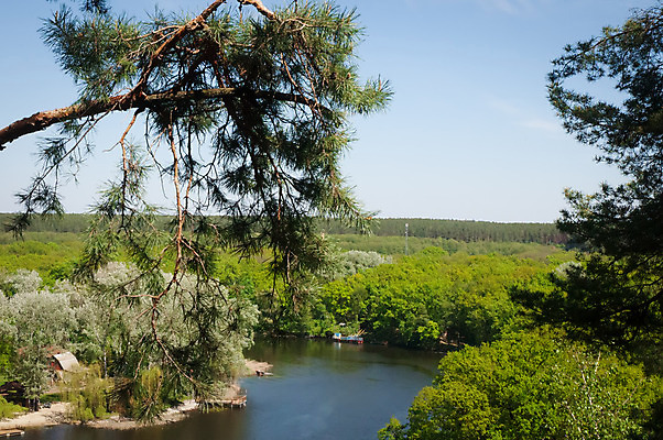 포토 JPG 해외이미지 나무 파노라마 사람없음 목재 물 파란색 강 나뭇가지 숲 우크라이나 해외202004 해외포토 자연요소 식물 유럽 컬러 재료 촬영기법 파일형식 이미지허브