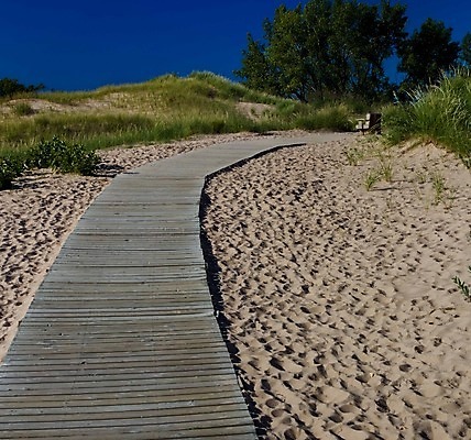 포토 JPG 해외이미지 길 모래 곰 사람없음 산책로 하이킹 잠 오솔길 모래언덕 전국 해외202004 해외포토 동물 포유류 레저 언덕 파일형식 이미지허브