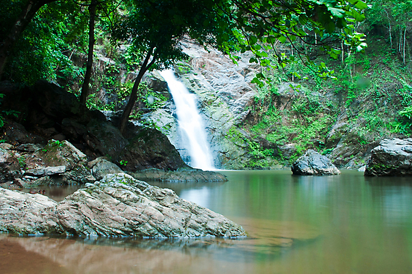 포토 JPG 해외이미지 나무 식물 공원 여행 백그라운드 잎 모션 태국 자연 휴가 휴식 풍경 사람없음 목재 초록색 물 강 봄 활발 폭포 젖음 흐름 가을 신선 개울 숲 시원함 순수 즐거움 천국 이국적 파라다이스 해외202004 해외포토 자연요소 계절 공공시설 감정 아시아 컬러 컨셉 재료 생태계 파일형식 이미지허브