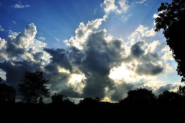 포토 JPG 해외이미지 나무 구름 계절 실루엣 여행 태국 자연 하늘 날씨 추상 풍경 사람없음 야외 빛 컬러풀 햇빛 태양 평화 우주 일출 희망 광선 시골 신선 도시 시간 투명 만족 천국 현상 해외202004 해외포토 자연요소 식물 감정 아시아 컬러 컨셉 무늬 촬영기법 노을 생태계 파일형식 이미지허브