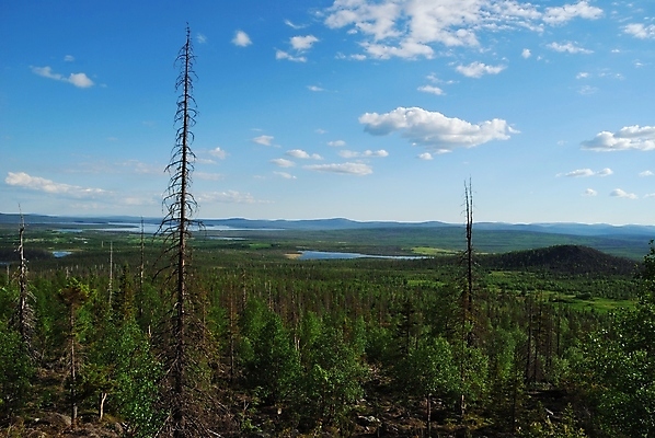 포토 JPG 해외이미지 호수 잎 자연 사람없음 야외 여름 환경 바위 황무지 숲 언덕 수평선 해외202004 해외포토 식물 계절 돌_바위 생태계 파일형식 이미지허브