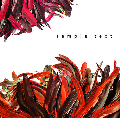 포토 JPG 해외이미지 동물 디자인 남자 야생동물 백그라운드 패턴 자연 조류 미술 사람없음 장식 초록색 빛 컬러풀 노란색 치킨 흰색 우아함 공작 깃털 오브젝트 질감 꼬리 솜털 수탉 고립 이국적 해외202004 해외포토 컬러 컨셉 무늬 문화예술 사람 닭 수컷 생태계 닭고기요리 파일형식 이미지허브