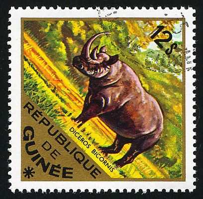 포토 JPG 해외이미지 나무 동물 야생동물 신체 포유류 자연 봉투 뿔 사람없음 수확 골동품 주름 메시지 티켓 역사 숲 큼 물개 편지 피부 복고 엽서 날카로움 귀 코뿔소 주둥이 우표 동물상 옛날 총구 그리너리 해외202004 해외포토 식물 농업 신체부위 조형물 바다동물 크기 생태계 파일형식 트랜드컬러 이미지허브