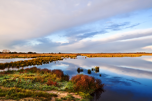 포토 JPG 해외이미지 모양 식물 구름 호수 분홍색 백그라운드 자연 하늘 표면 아침 추상 풍경 사람없음 야외 초록색 물 파란색 햇빛 반사 일출 침묵 고요 일몰 흰색 시골 속도 네덜란드 평야 수평선 해외202004 해외포토 주간 자연요소 유럽 컬러 무늬 태양 노을 소리 생태계 파일형식 이미지허브