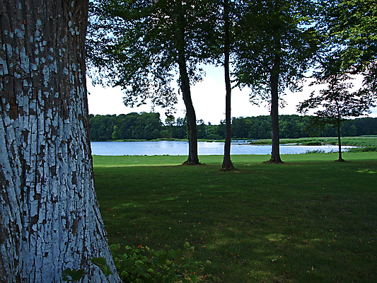포토 JPG 해외이미지 나무 식물 계절 공원 호수 자연 하늘 덴마크 풍경 사람없음 야외 초록색 물 여름 파란색 반사 환경 침묵 하이킹 나뭇가지 시골 연못 황무지 보호 숲 장면 지역 해외202004 해외포토 자연요소 공공시설 컬러 컨셉 레저 북유럽 소리 생태계 파일형식 이미지허브