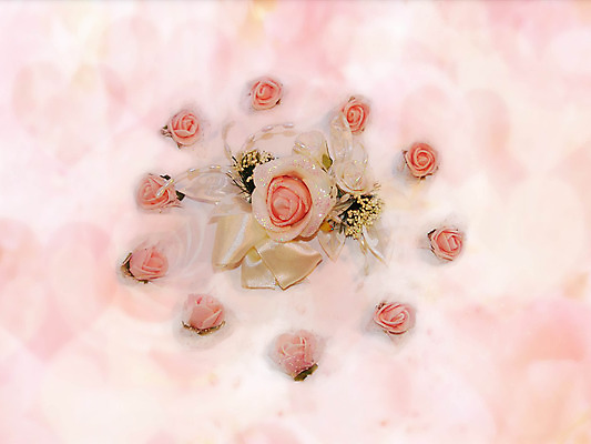 포토 JPG 해외이미지 식물 꽃잎 결혼 백그라운드 꽃무늬 자연 휴가 기념 사랑 사람없음 장식 빨간색 장미 축제 공백 덮개 흰색 축하 생일 우아함 배열 심볼 오브젝트 내추럴 고립 해외202004 해외포토 기념일 꽃 감정 컬러 컨셉 무늬 이벤트 뚜껑 생태계 파일형식 이미지허브