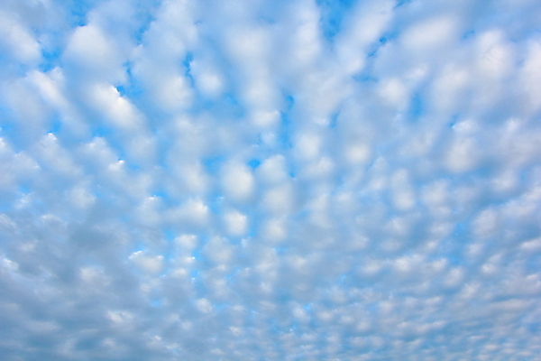 포토 JPG 해외이미지 주간 구름 백그라운드 자연 하늘 날씨 풍경 사람없음 야외 가로 파란색 햇빛 환경 펼침 흰색 정상 천국 솜털 흐림 해외202004 해외포토 자연요소 컬러 모션 태양 생태계 파일형식 이미지허브