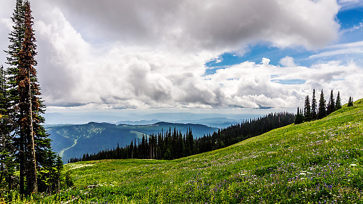 포토 JPG 해외이미지 나무 식물 구름 계절 꽃 여행 캐나다 밭 자연 하늘 산 풍경 사람없음 야외 초록색 컬러풀 노란색 환경 계곡 침묵 봄 활발 흰색 신선 소나무 숲 언덕 장면 내추럴 절정 해외202004 해외포토 자연요소 컬러 컨셉 북아메리카 농업 소리 생태계 파일형식 이미지허브